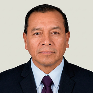 Ronel Anaya Salcedo